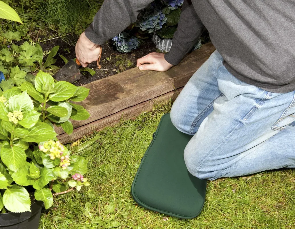 Comfort-kussen 2 in 1