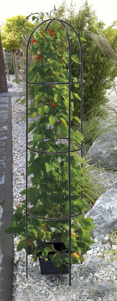 Klimobelisk voor planten Ø 40 x 190 cm