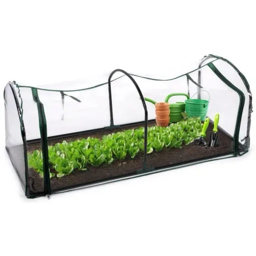 Greenhouse made of foil, green, dimensions 60 x 50 x 130 cm