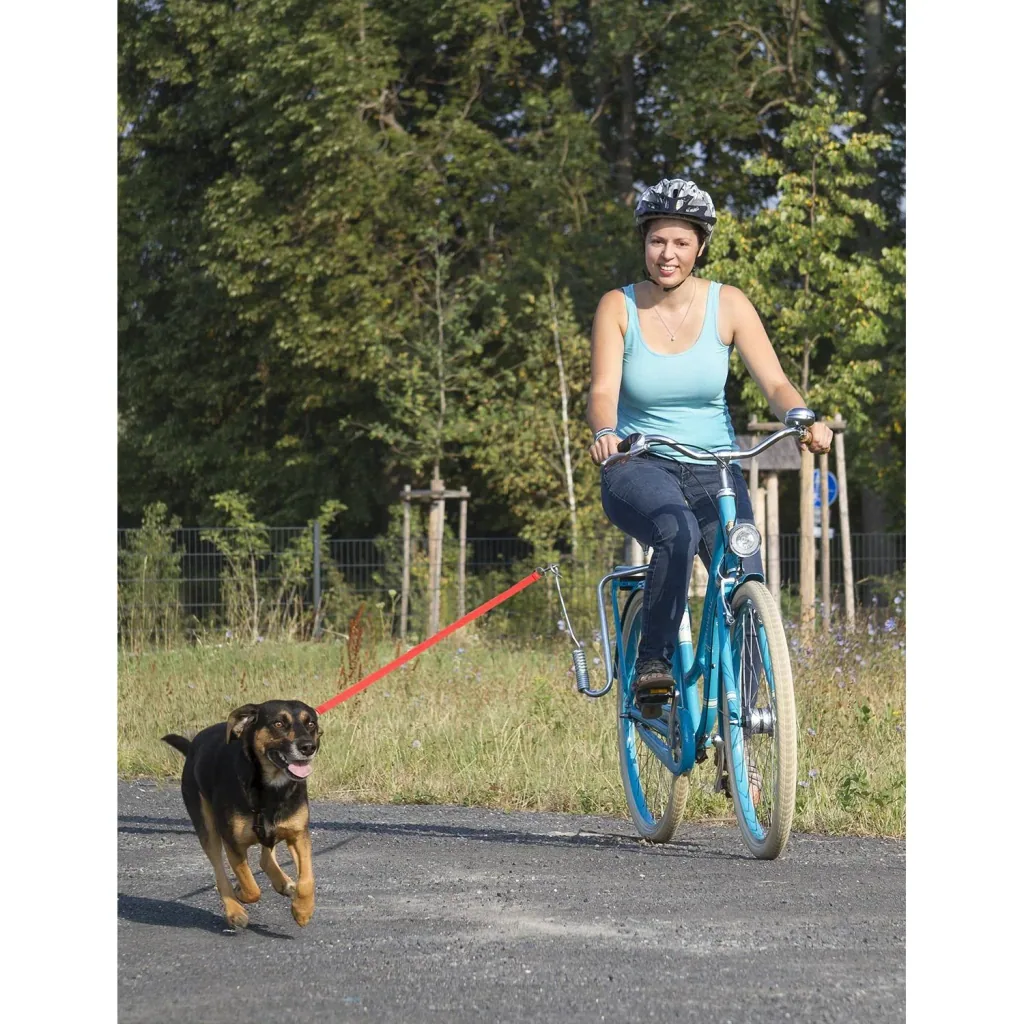 Dog leash guide bar for bicycle