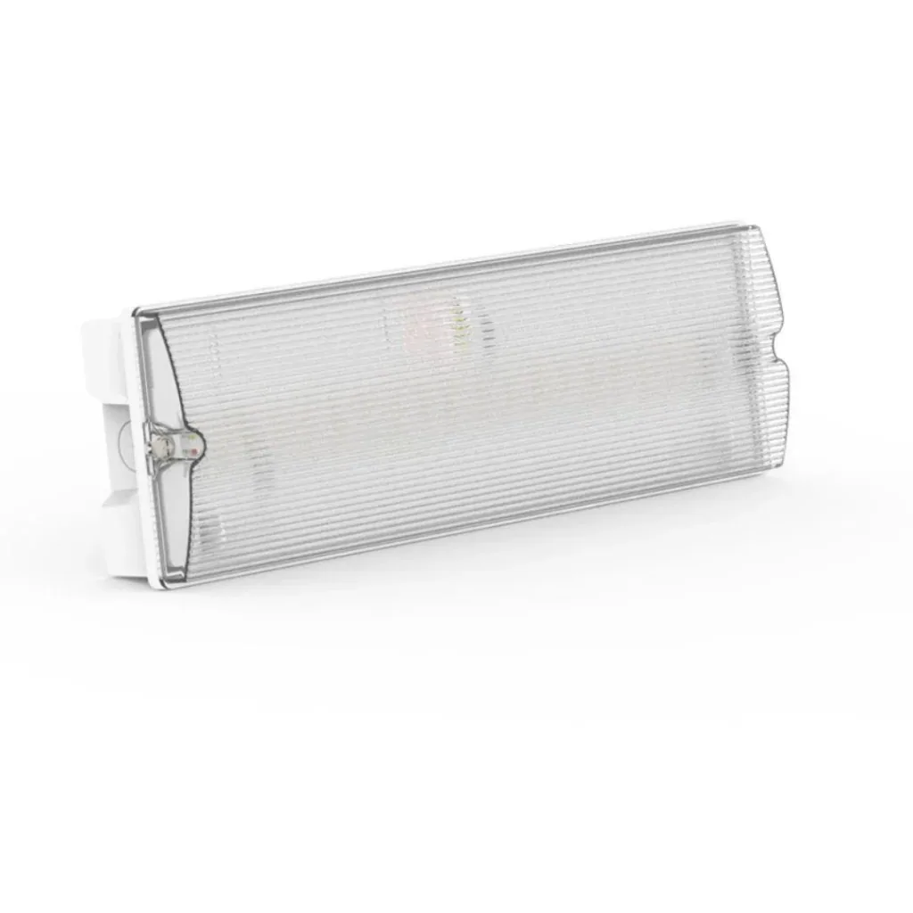 LED escape route light, emergency exit with emergency power unit offers a TEST function, wall mounting & IP65 protection