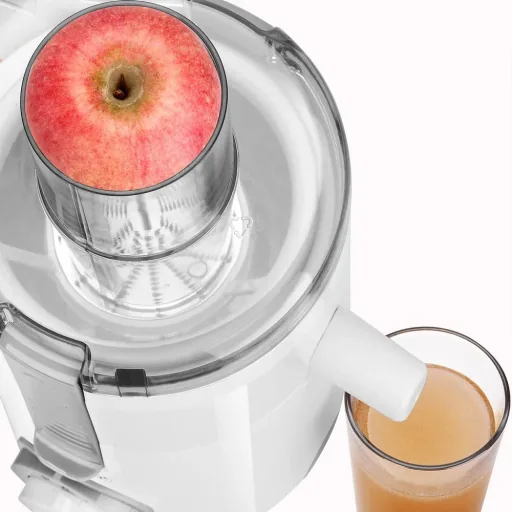 Juicer Plastic