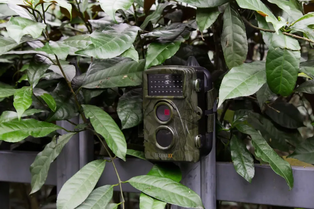Full HD wildlife surveillance camera TX-69 for indoor and outdoor use