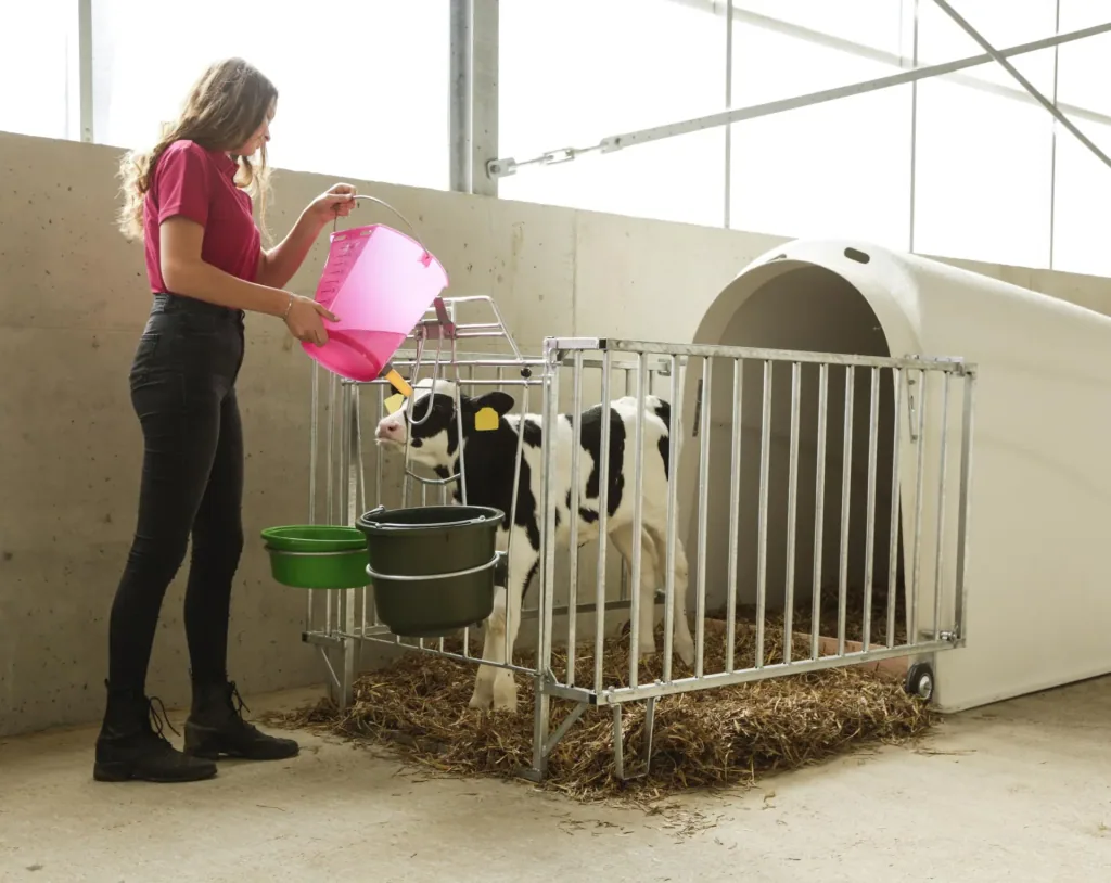 Calf drinking bucket 8 l, pink transparent with scale