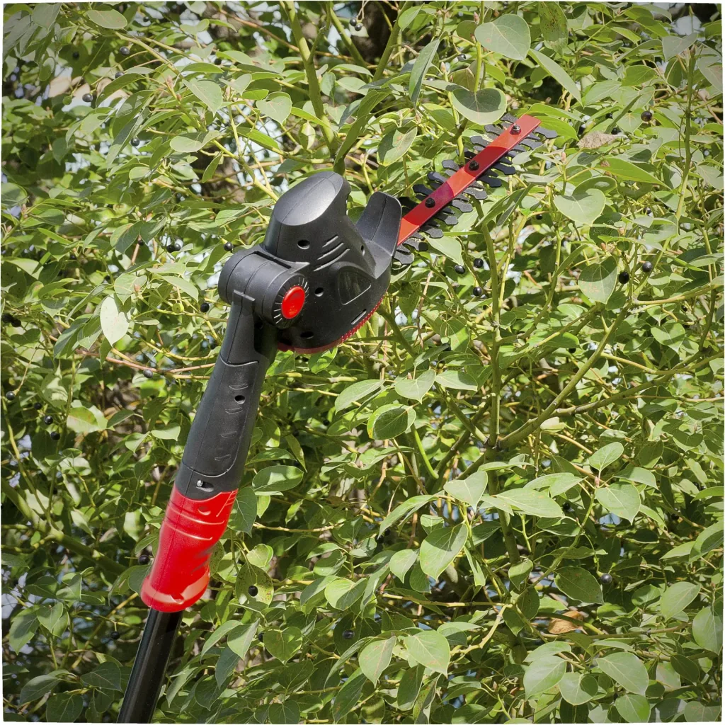 Grass/shrub and branch saw 10.8 V 3-in-1