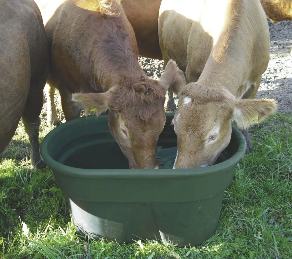 Pasture drinking trough approx. 150 l, without drain plug, L 102 x W 73 x H 36 cm, weight 13.5 kg