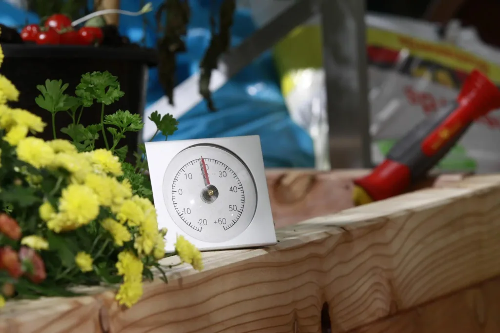 Thermometer