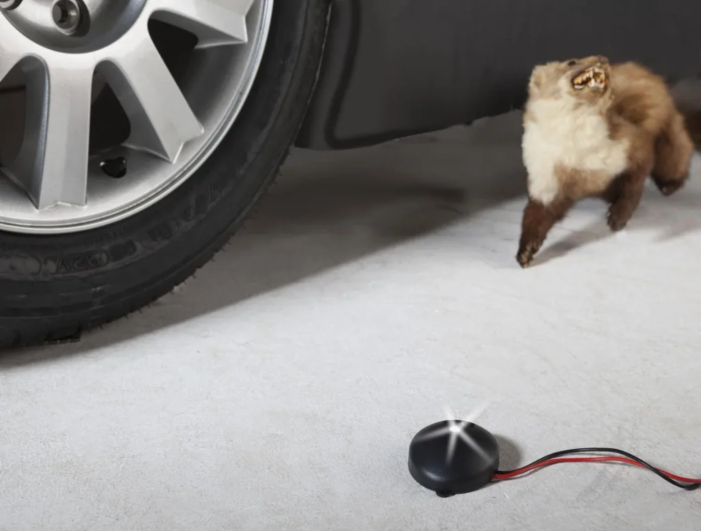 Car marten free/LED flash light 12 Volt