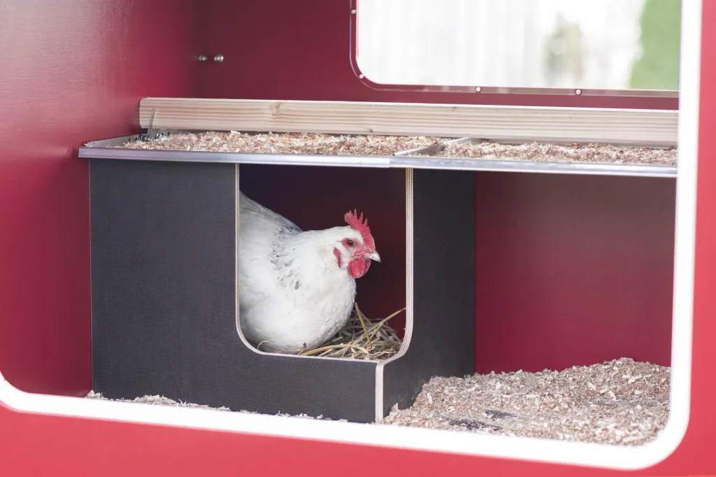 MobileCoop chicken coop wood