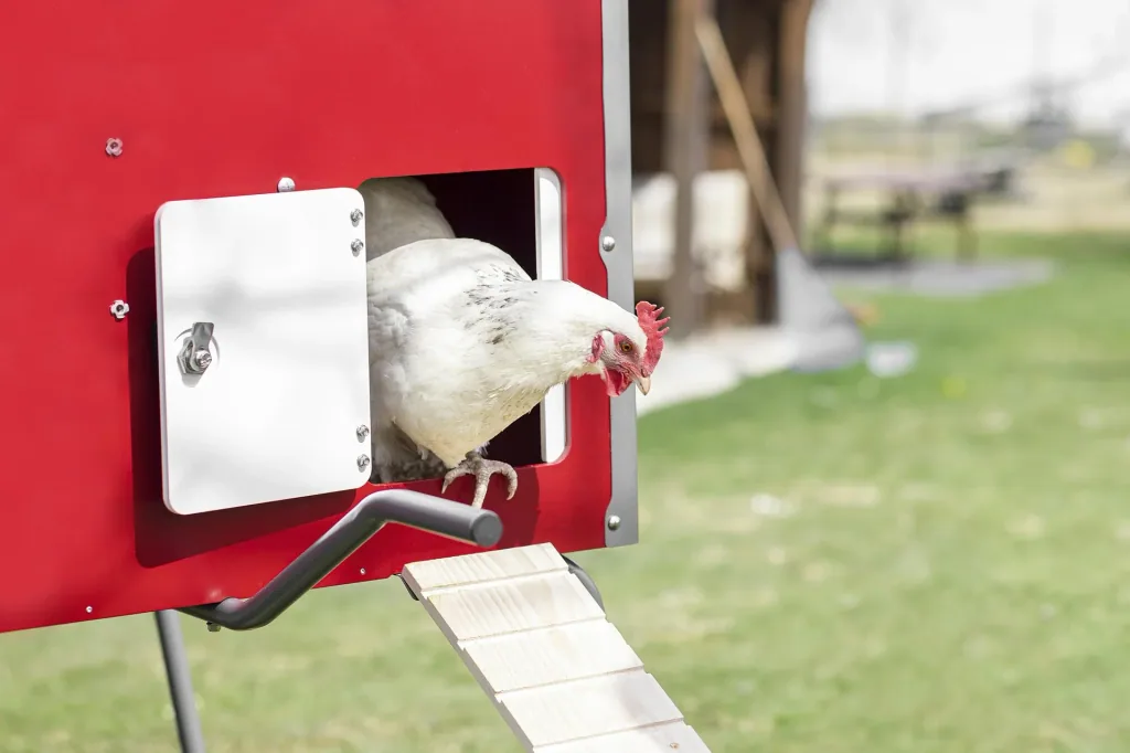 MobileCoop chicken coop wood