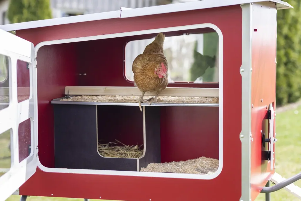MobileCoop chicken coop wood