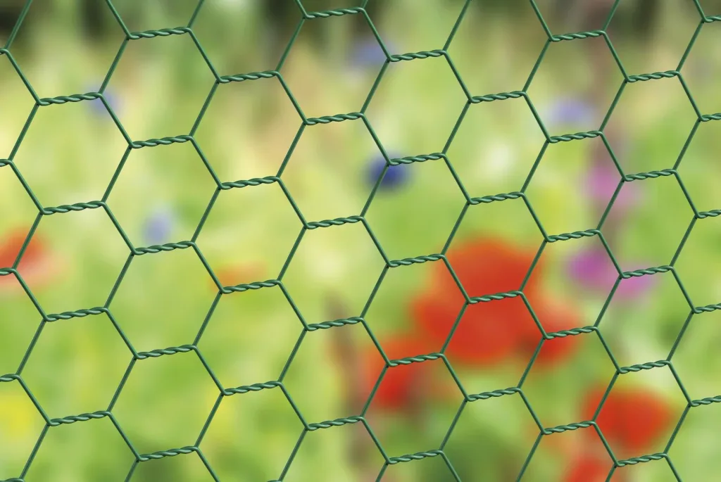 Hexagonal mesh green plastic-coated, 50cm x 25m, 25x25cm, 1mm