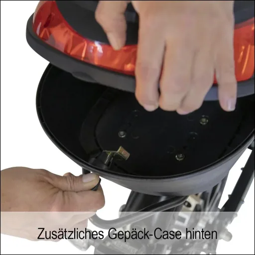 E-scooter "Revoluzzer" Safety 20 km/h including indicators and luggage case, black
