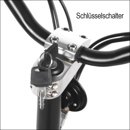 E-scooter "Revoluzzer" Safety 20 km/h including indicators and luggage case, black