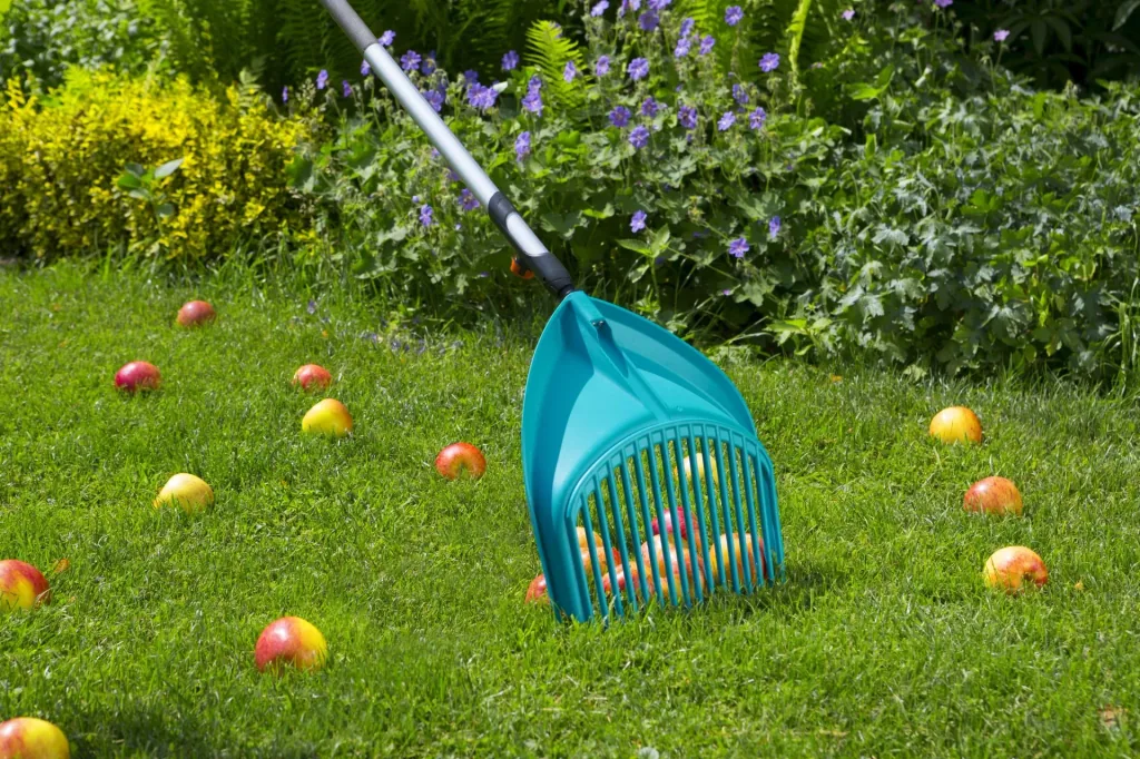 Combisystem shovel rake, working width 36.5 cm