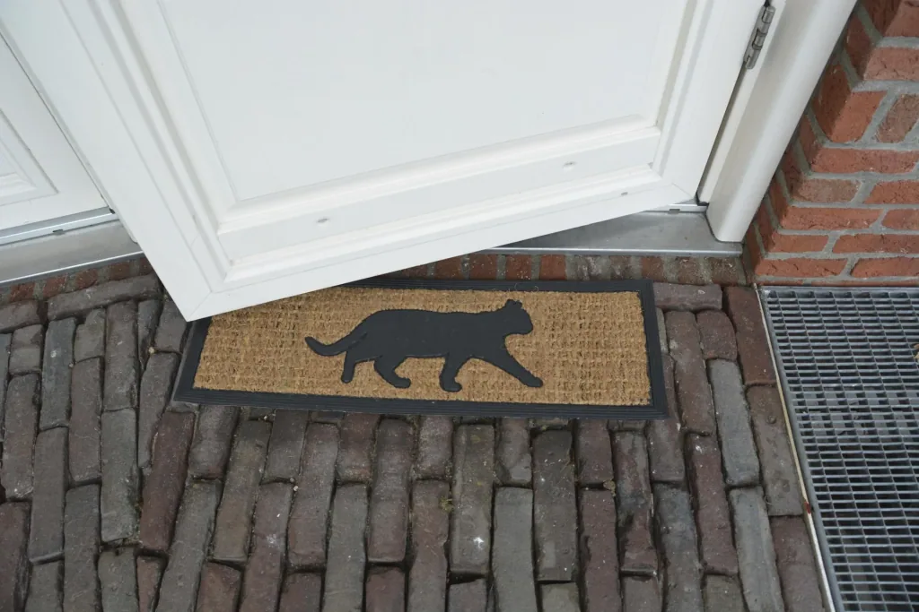 Step doormat rubber/coconut cat