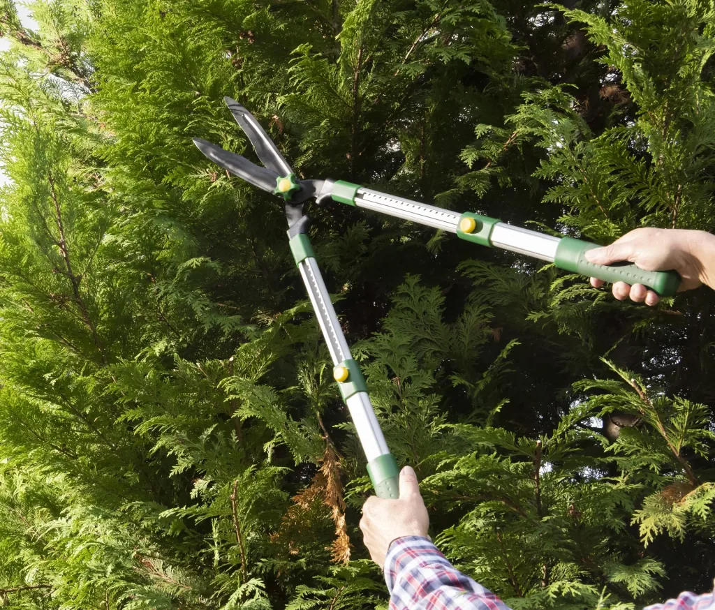 Telescopic hedge trimmer, 63-81 cm