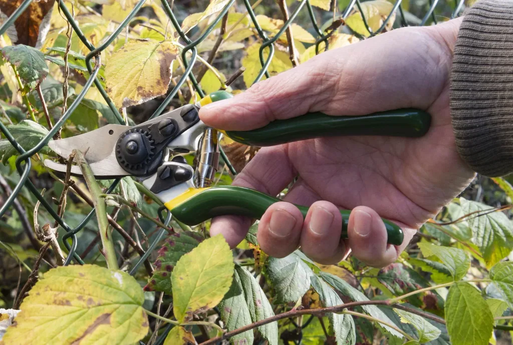 One-handed garden shears, Compact