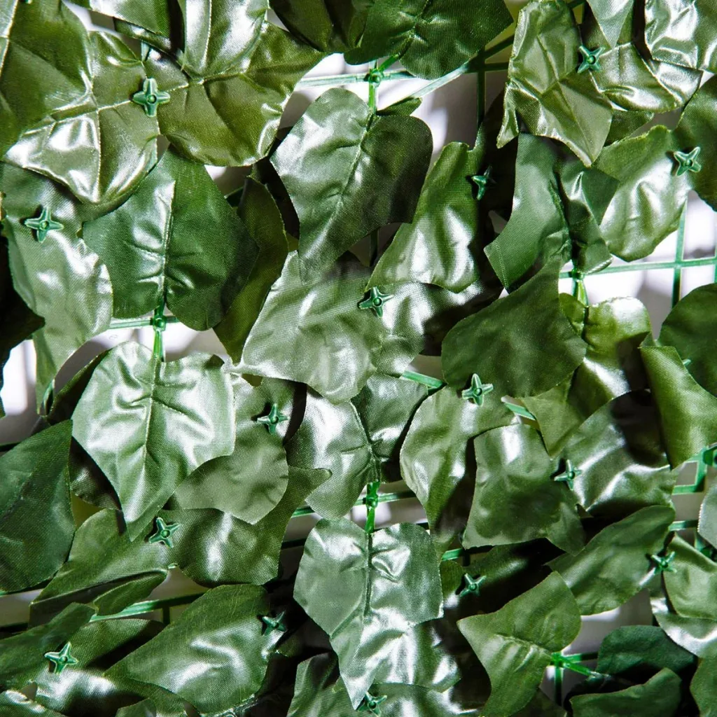 Privacy hedge dark green