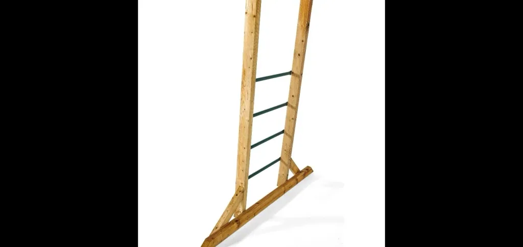 Wooden climbing frame monkey bars, outdoor climbing frame for children, climbing net, ladder, monkey bars