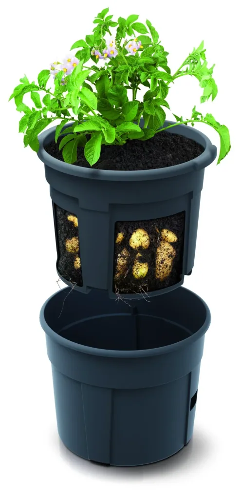 Potato growing pot, diameter 295 mm - anthracite