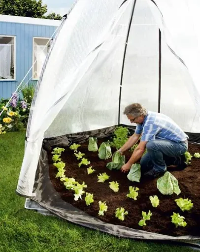Plastic greenhouse "Tropical Island", size L - Ø 240, 200 cm high