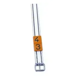 Marking collar with roller buckle - for cows and bulls
