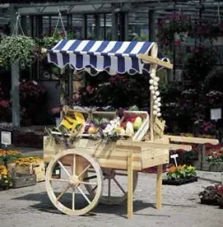 Market cart with canopy white/blue