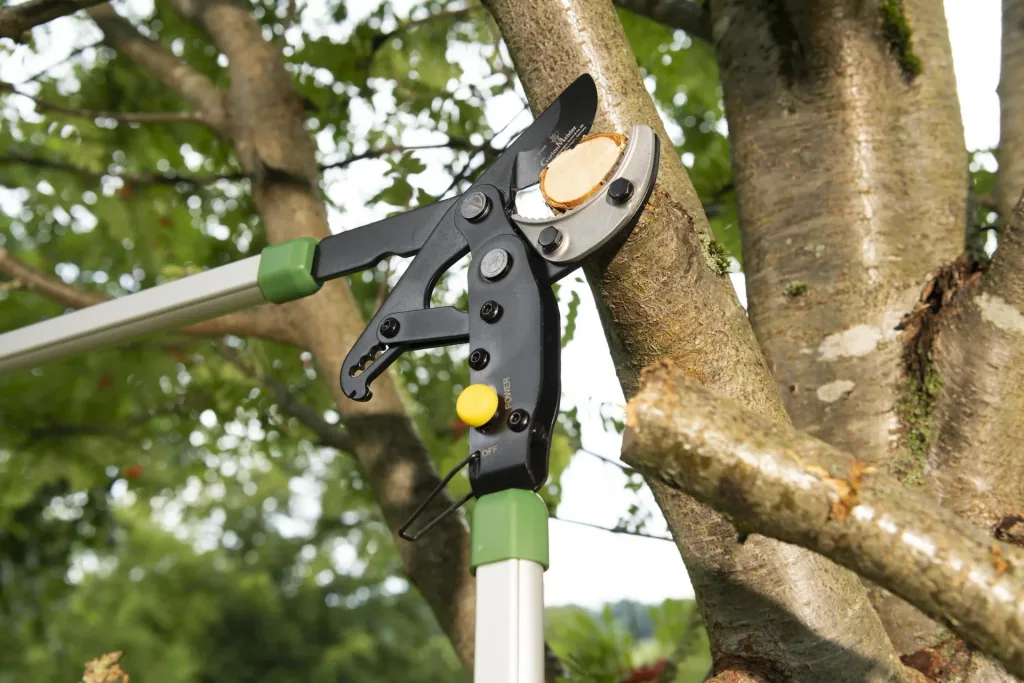 2 in 1 anvil geared pruning shears