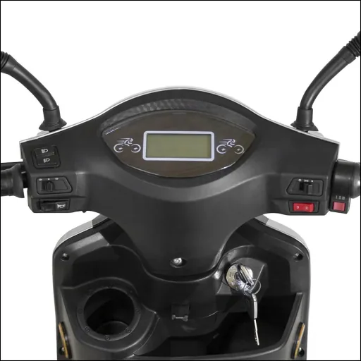 3-wheel electric vehicle Bologna 25 km/h silver including wind and weather protection