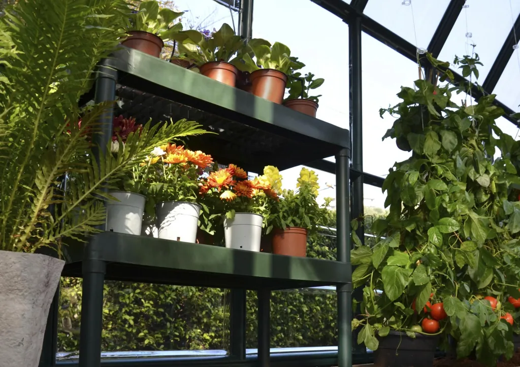 Planting table with 2 levels for plastic greenhouses