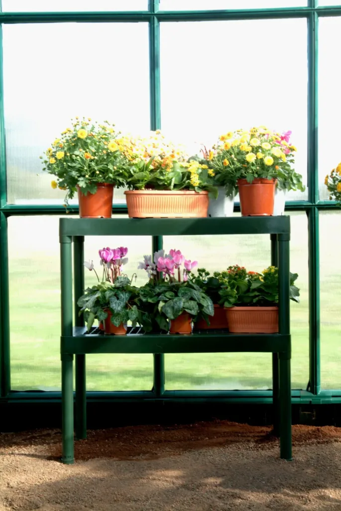 Planting table with 2 levels for plastic greenhouses