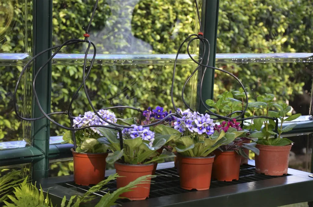 Planting table with 2 levels for plastic greenhouses