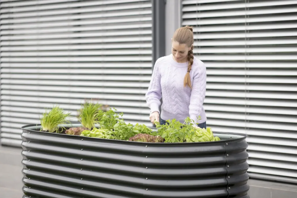 Verhoogde moestuinbak Grow Faster, 240×80×82 cm, Antraciet – Metaal van gegalvaniseerd golfplaat
