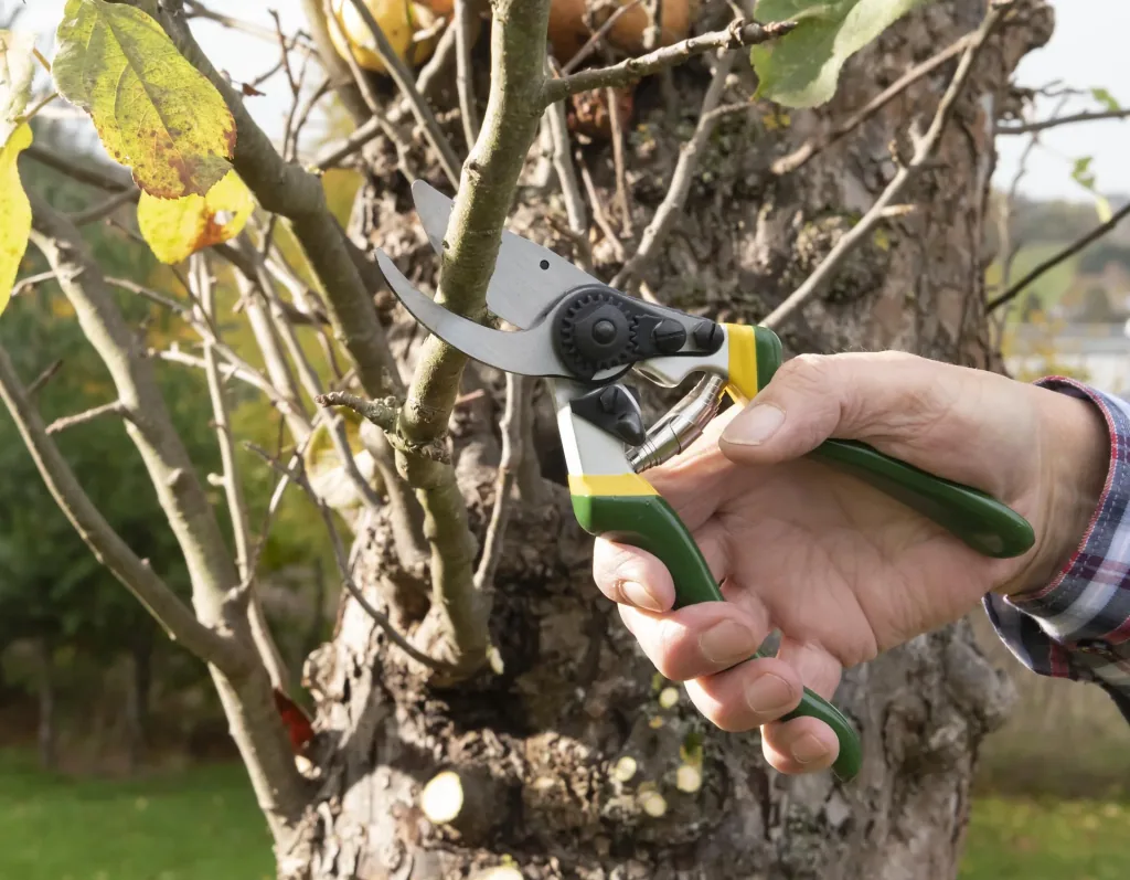One-handed garden shears, Ergo