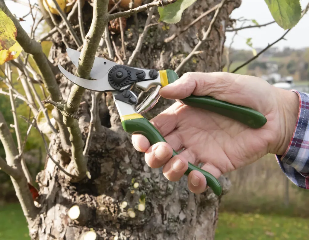 One-handed garden shears, Ergo