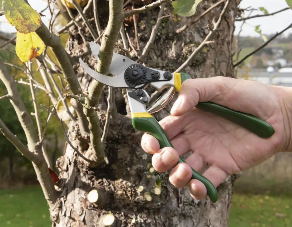 One-handed garden shears, Ergo