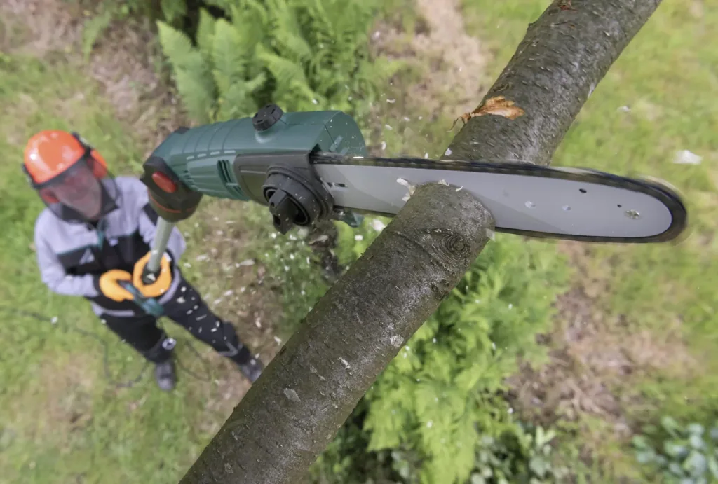 3D tree and hedge care set with telescopic multi-handle