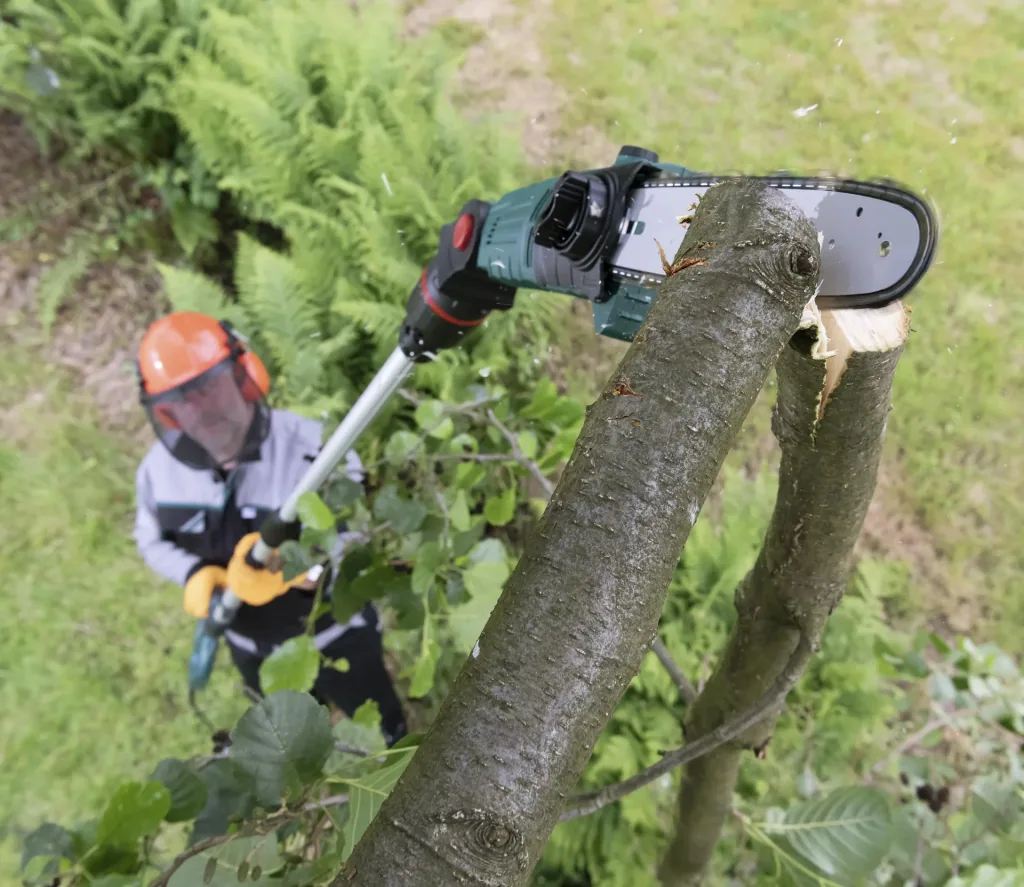 3D tree and hedge care set with telescopic multi-handle