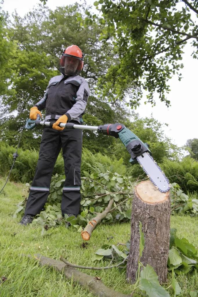 3D tree and hedge care set with telescopic multi-handle