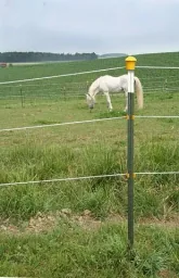 Metal post T-Post, 182 cm, 80 pieces