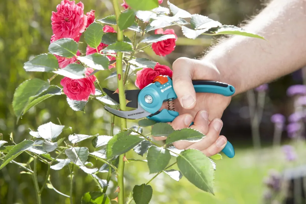 Classic Bypass Garden Shears, Hand Size S-M