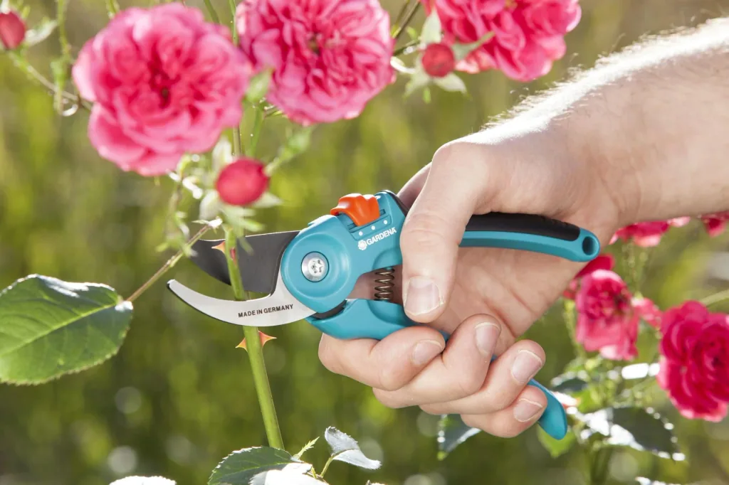 Classic Bypass Garden Shears, Hand Size S-M