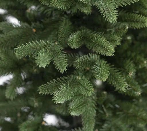 Kerstboom Roswell den 210 cm