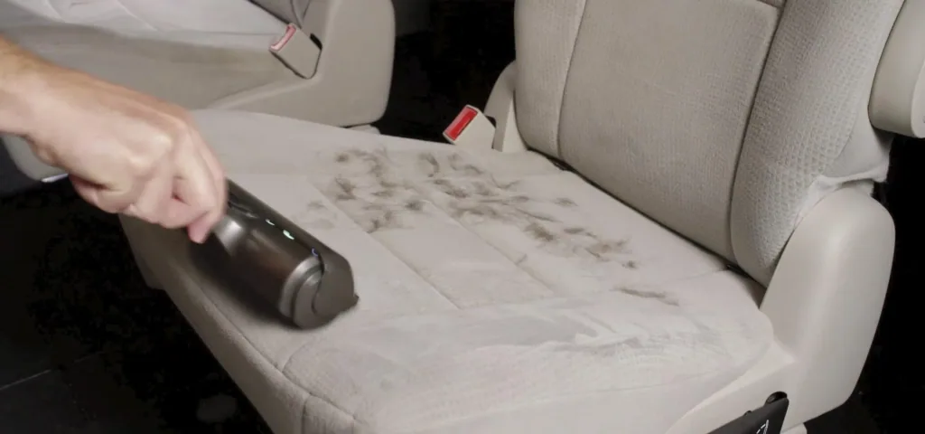 Pet hair and lint remover "FurDaddy"