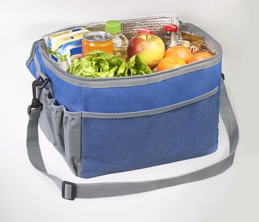 Tool cooler bag
