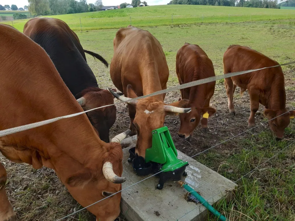 Pasture pump P100 Duo with double stroke and 1" connection