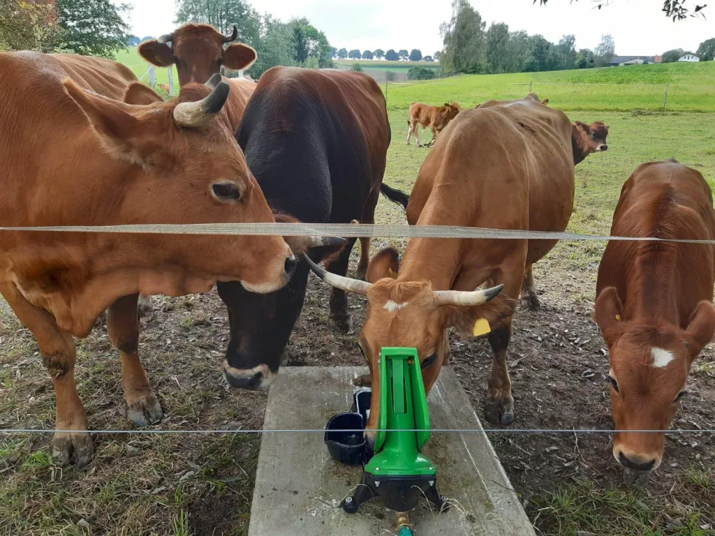 Pasture pump P100 Duo with double stroke and 1" connection