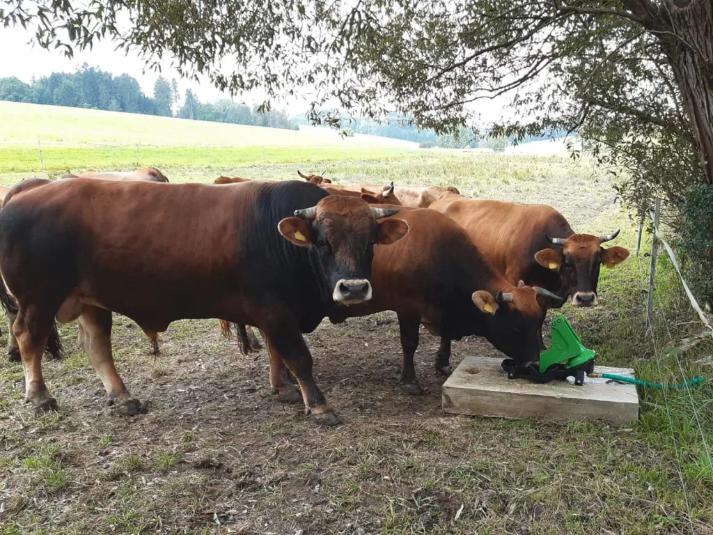 Pasture pump P100 Duo with double stroke and 1" connection