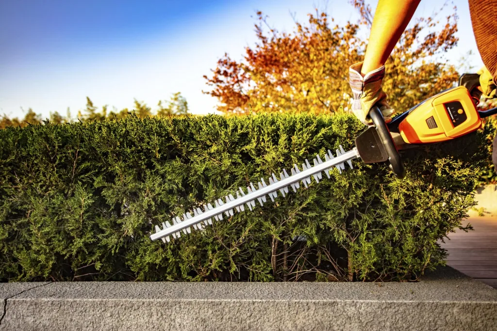 Cordless hedge trimmer "LH G60W" - without battery and charger